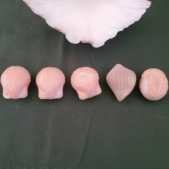 Extra Large Sandy Clam Shell with 5 Small Decorative Seashell Soaps - Picture 13 of 14